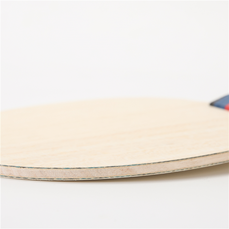 Ракетка для настольного теннис – обзор и цена Badminton Logo